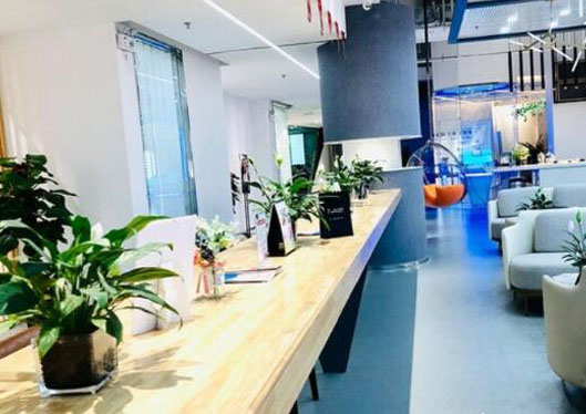 洛陽牙大夫口腔門診部繳費處