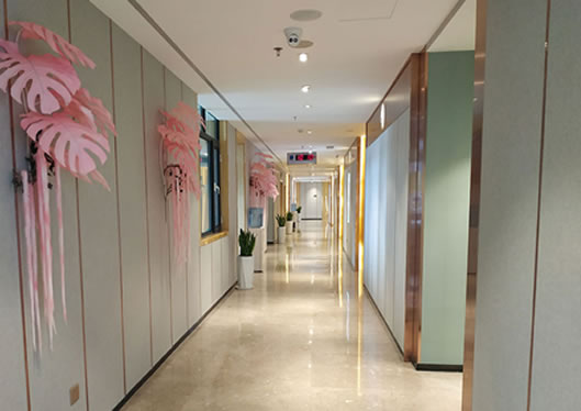 保定藍山醫(yī)院走廊環(huán)境圖