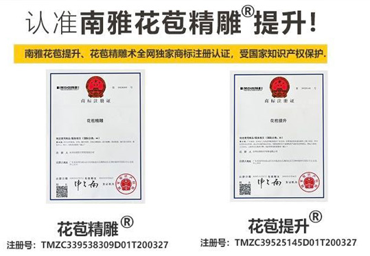 專項技術(shù)證書